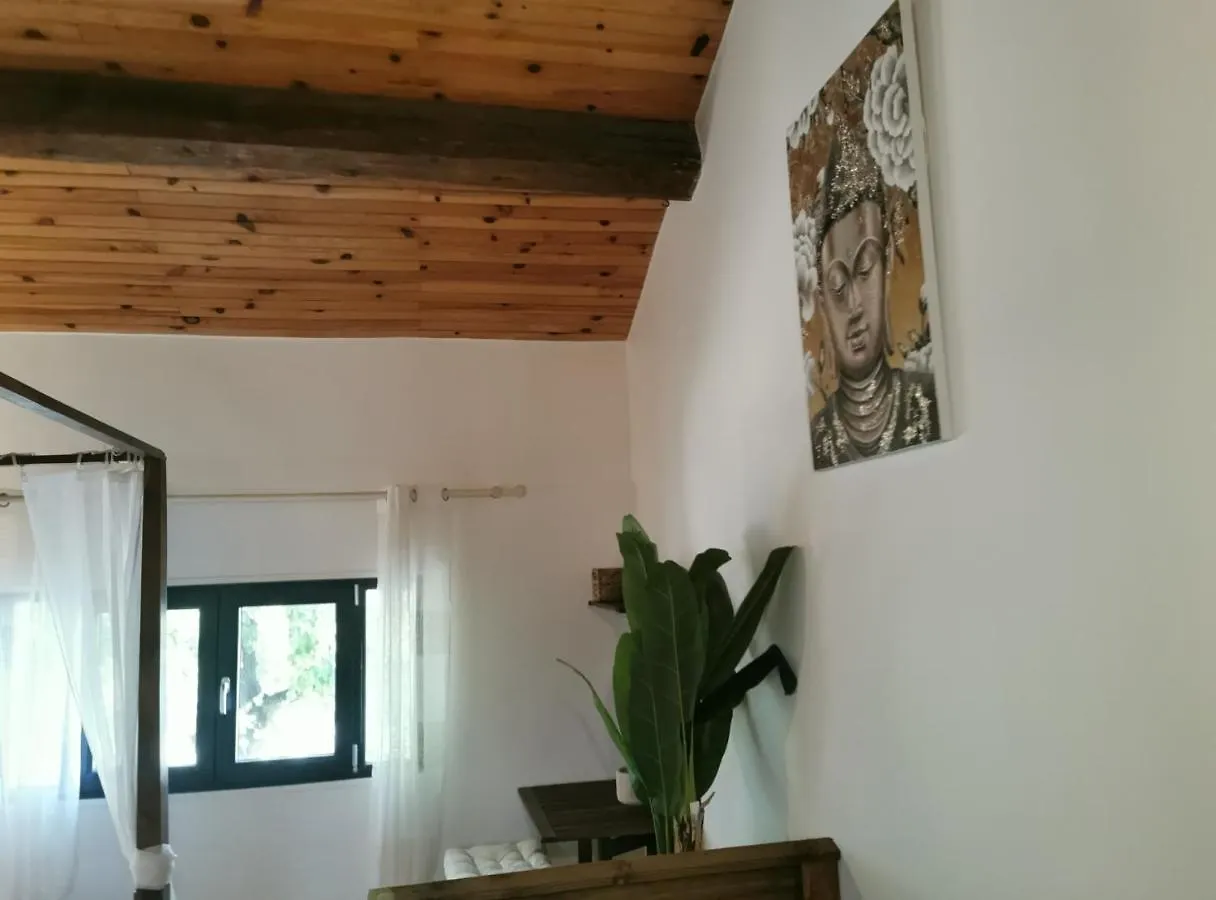 Sous Le Tilleul Saint-Martin-de-Crau Guest house
